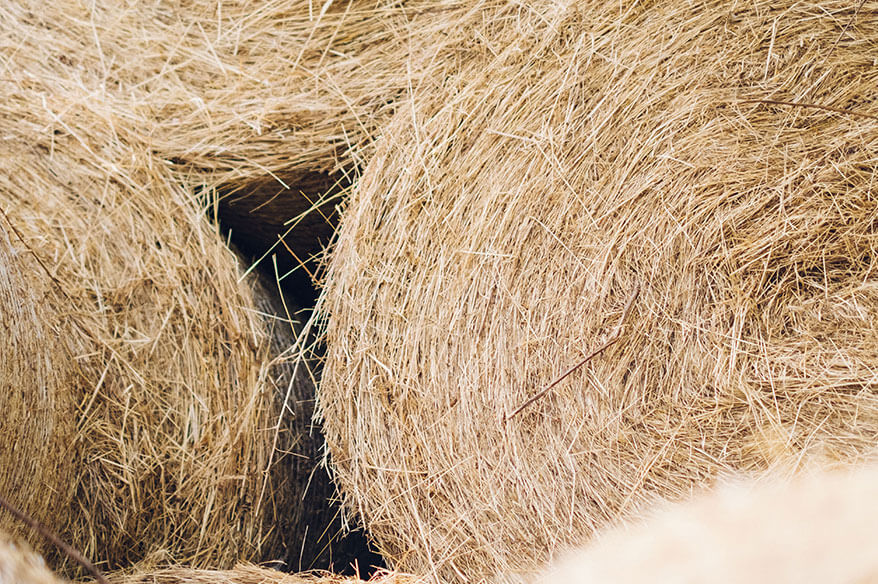 hay storage