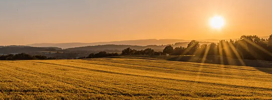 agriculture icon banner